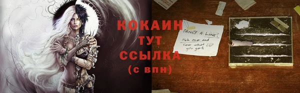 индика Беломорск