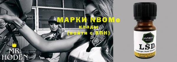 прущий лед Богданович