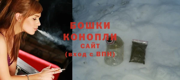 прущий лед Богданович