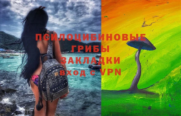 индика Беломорск