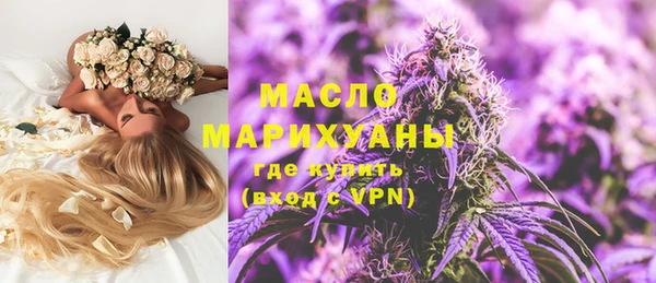 индика Беломорск