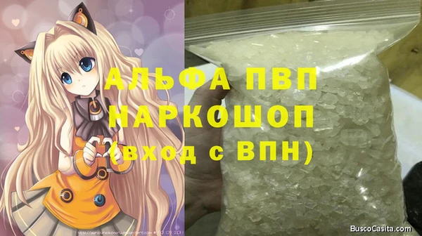 дживик Белокуриха