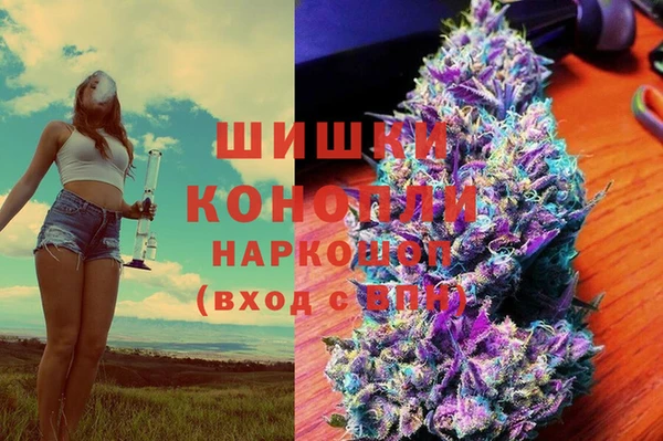 дживик Белокуриха