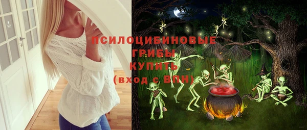 круглые Богородицк
