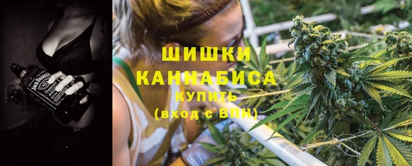 индика Беломорск