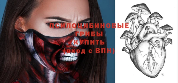 индика Беломорск