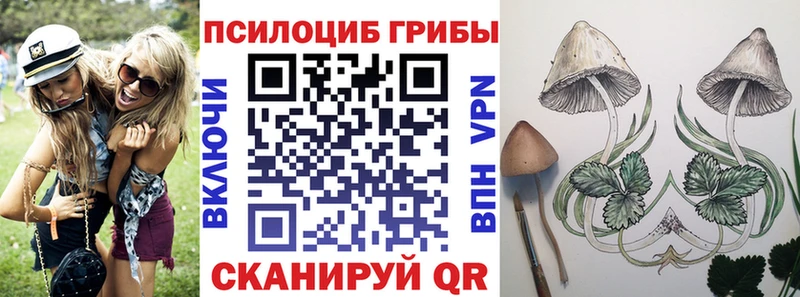 Купить где  Колпашево  Псилоцибиновые грибы мухоморы 